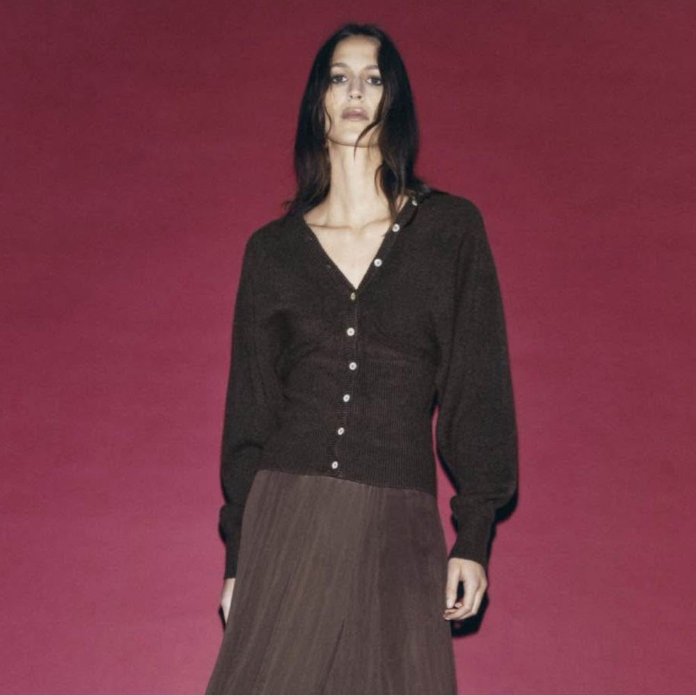 Zara Brown Cardigan with V-neckline and Long Sleeves